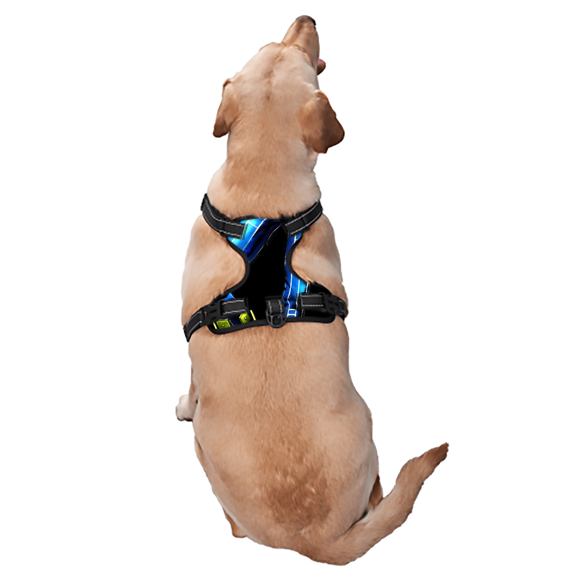 （画像用） "ジョジョの奇妙な冒険 くうじょう ジョリーン JoJo's Bizarre Adventure Jolyne Cujoh " ペット用ハーネス